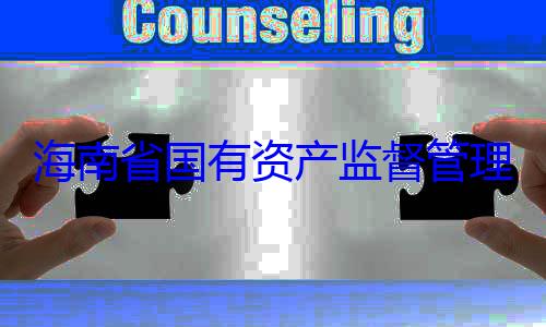资产监督管委副书记王海南省国有有福接受审查调查理委员会党